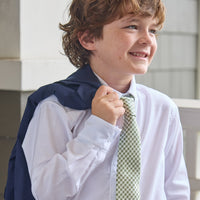 Neck Tie - Watercress Gingham