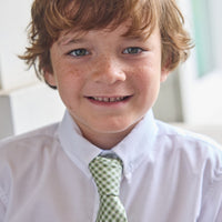 Neck Tie - Watercress Gingham
