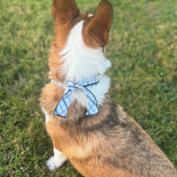 Little English traditional children's clothing. Blue plaid dog bandana for fall