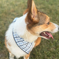 Little English traditional children's clothing. Blue plaid dog bandana for fall