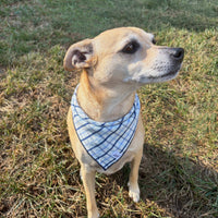 Little English traditional children's clothing. Blue plaid dog bandana for fall