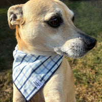 Little English traditional children's clothing. Blue plaid dog bandana for fall