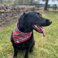 Little English traditional children's clothing. Red and green tartan plaid dog bandana for Fall. Holiday dog bandana.