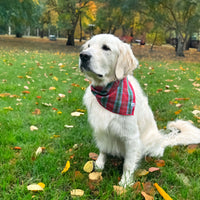 Little English traditional children's clothing. Red and green tartan plaid dog bandana for Fall. Holiday dog bandana.