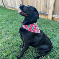 Little English traditional children's clothing. Red and green tartan plaid dog bandana for Fall. Holiday dog bandana.