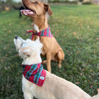 Little English traditional children's clothing. Red and green tartan plaid dog bandana for Fall. Holiday dog bandana.
