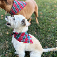 Little English traditional children's clothing. Red and green tartan plaid dog bandana for Fall. Holiday dog bandana.