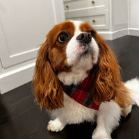 Little English traditional children's clothing. Red and green tartan plaid dog bandana for Fall. Holiday dog bandana.