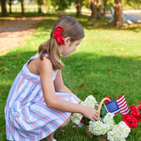 Georgia Dress - Americana Stripe