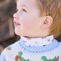 little english classic children's clothing light blue fair isle sweater with mallards along neck, printed turtleneck with mallard pattern, boy outfits for fall