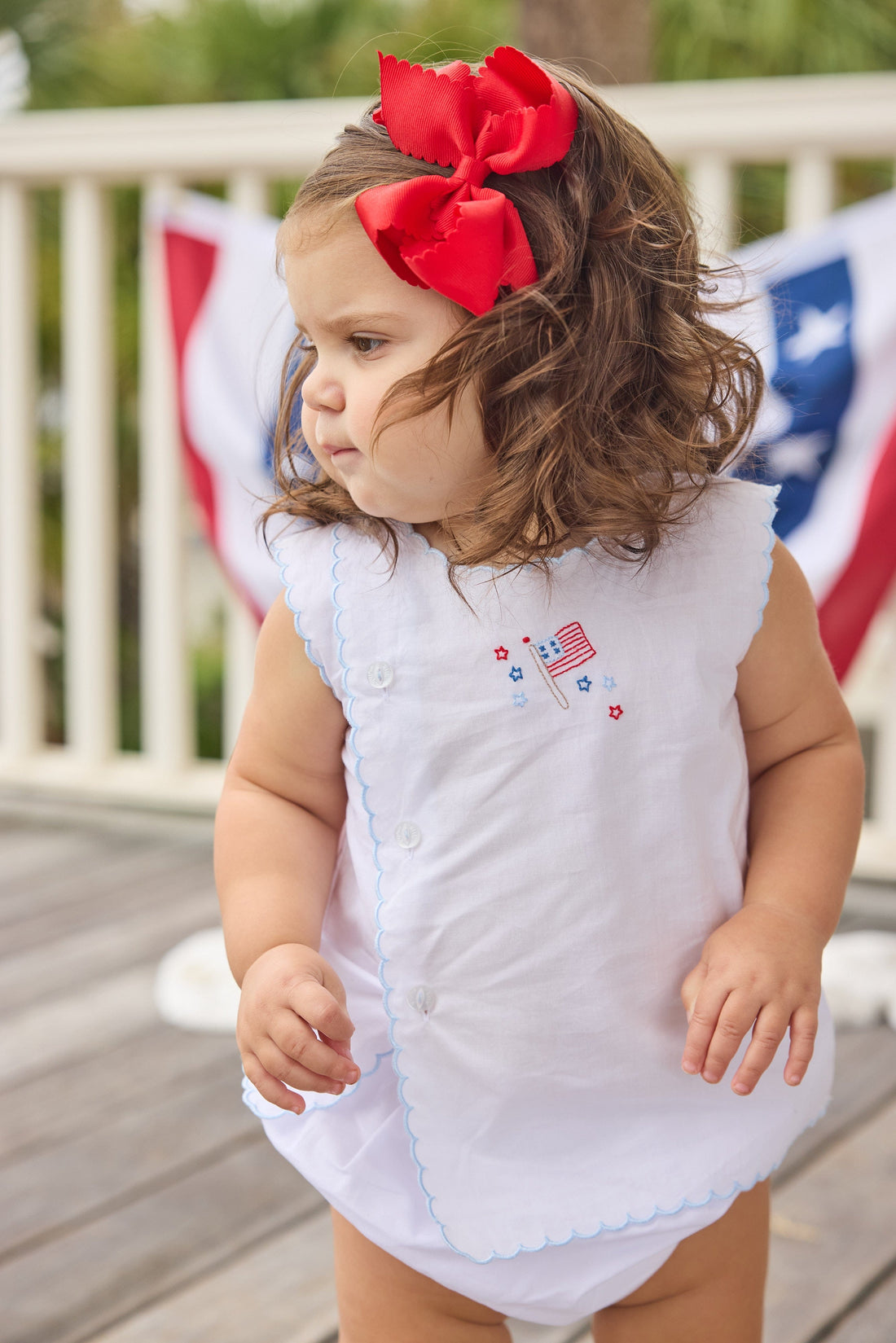 Flag Davis Day Set Flag Davis Day Set
