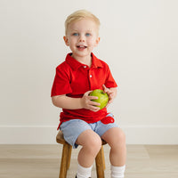 Little English traditional children's clothing. Royal gingham basic shorts with apple applique for toddler boys. Paired with classic short sleeve polo in red