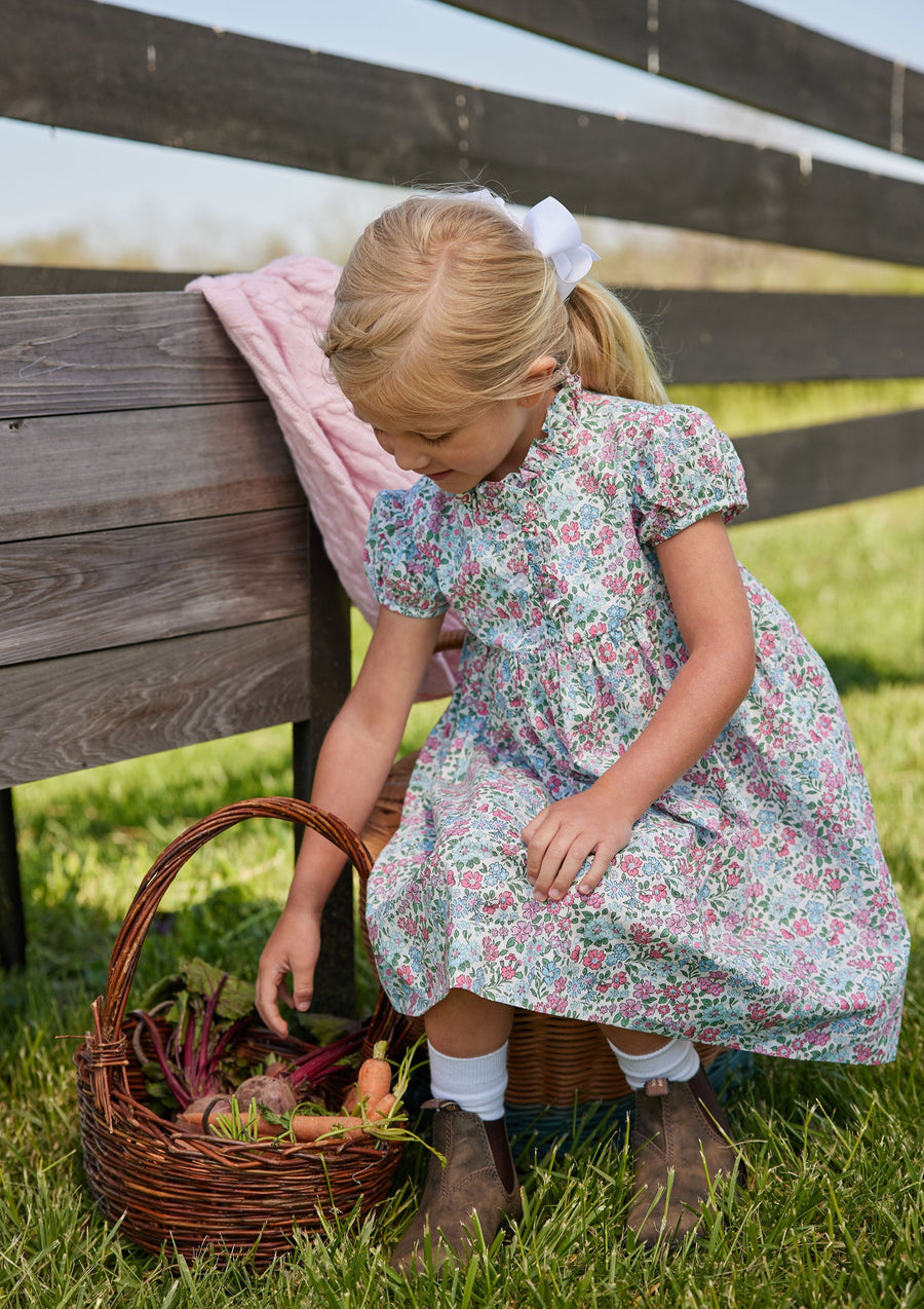 Little English toddler girl classic blue red and pink floral knee high length dress with ruffled collar