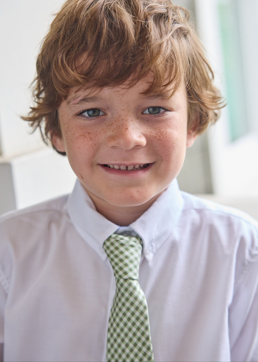 Neck Tie - Watercress Gingham
