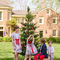 Little English classic children's clothing. Girls A-line Cora Dress in red and green plaid with red bow and red piping detail for the holidays.  Boys Douglas Plaid button down shirt with red corduroy pants and navy wool blazer. Toddler girls Eleanor Dress - Douglas Plaid with ruffled peter pan collar and tie sash in back. Toddler boys Douglas Plaid Button Tab John John Set