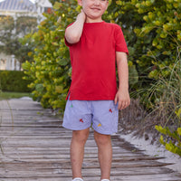 Little English traditional children's clothing, boy's basic short for Summer, blue check pull on shorts with embroidered red, yellow, and green airplanes