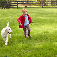 Little English traditional children's clothing.  Classic long sleeve light blue polo and chocolate brown corduroy pants with seated lab embroidery for boys. Layered with red quilted jacket with corduroy details.
